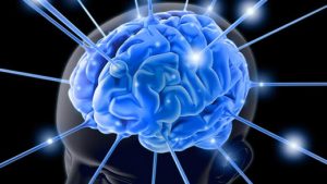Artigos 23 cerebro